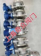 <b>成功适配石油化工、电力、天然气、半导体等多</b>