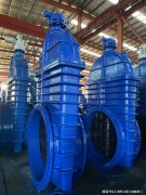 在多个核电站项目中得到应用；在冶金行业