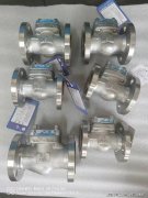 <strong>为行业提供了宝贵的发展</strong>