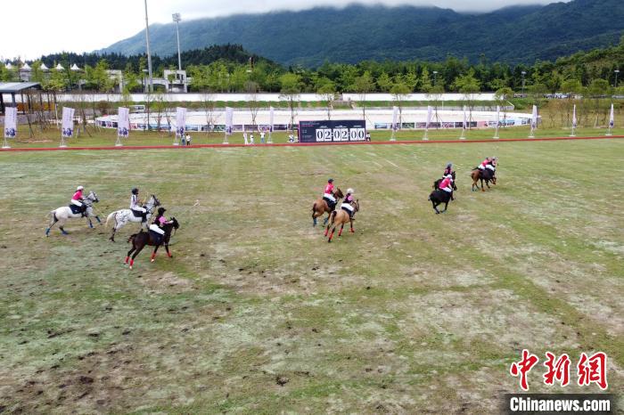 重庆武隆仙女山上演世界女子马球玫瑰杯—1003