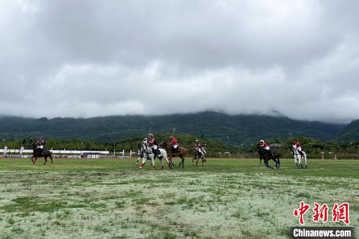 重庆武隆仙女山上演世界女子马球玫瑰杯—1003